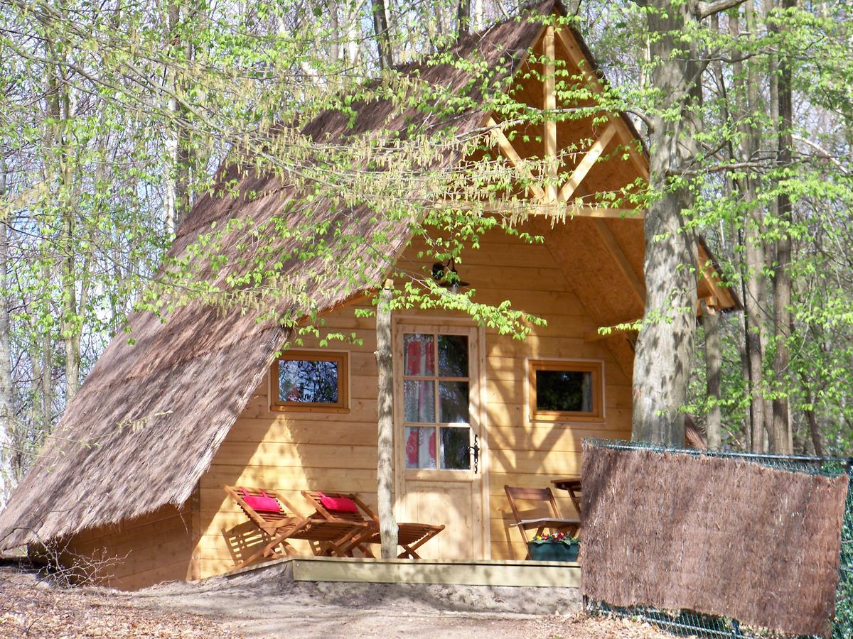 Bed & Breakfast Le Coeur De La Foret